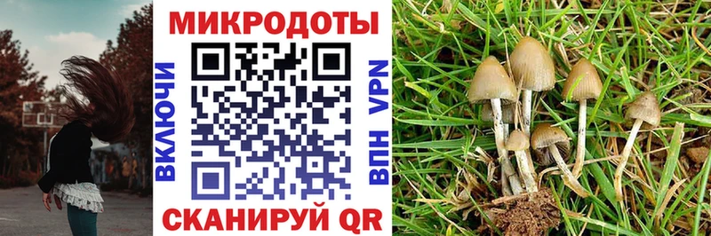 Галлюциногенные грибы мухоморы  Петровск-Забайкальский 