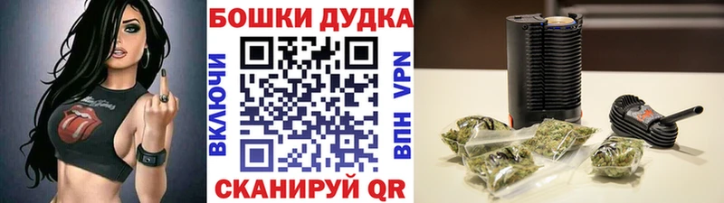 Канабис сатива Петровск-Забайкальский